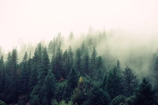 শিক্ষা সফর — ছবি ৯
