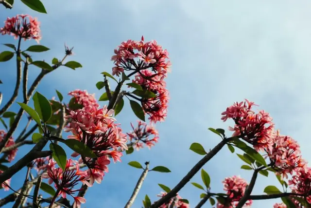 শিক্ষা সফর — ছবি ১
